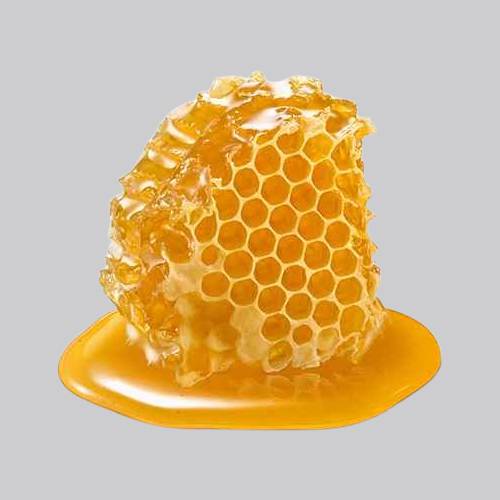 Honey Manufacturers in Namakkal